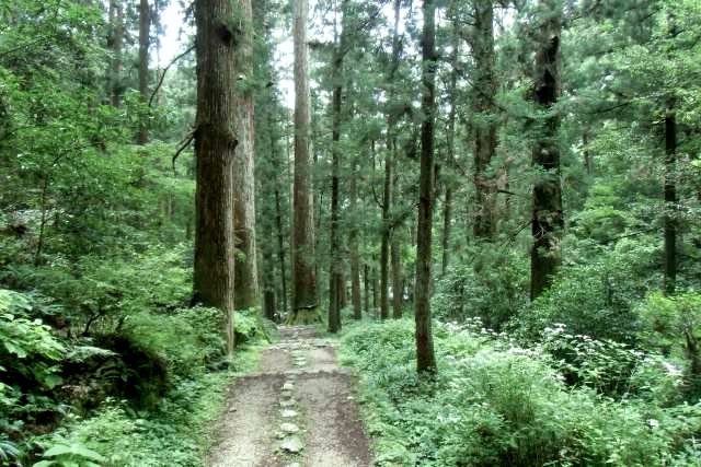 houraiji-sandou