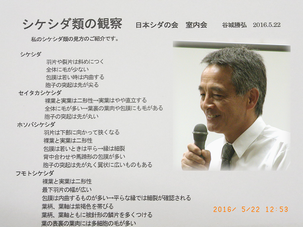 20160522yashiro_2