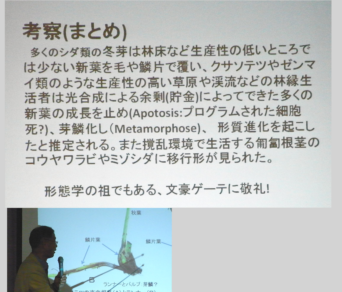 20151018matsumoto