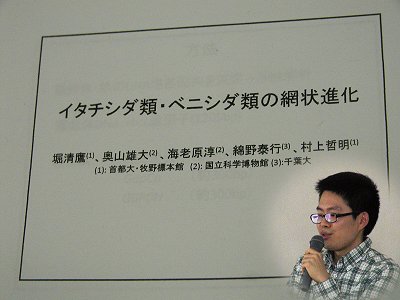 hori-2