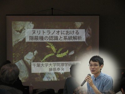 fujiwara-2