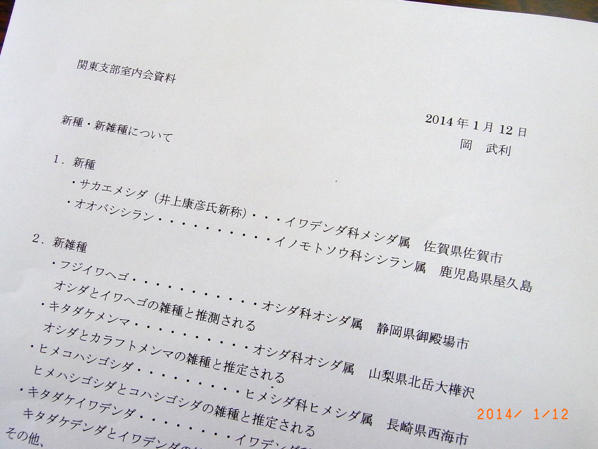 RIMG0002-2