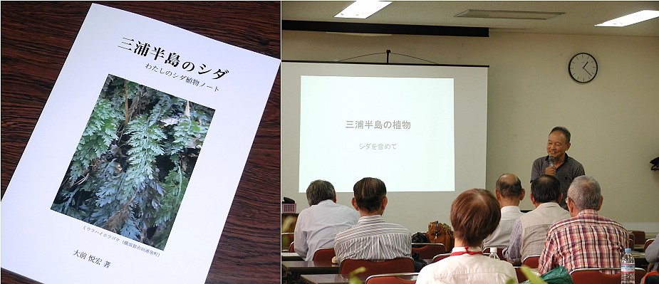 book-oomae
