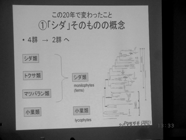 ebihara20130113
