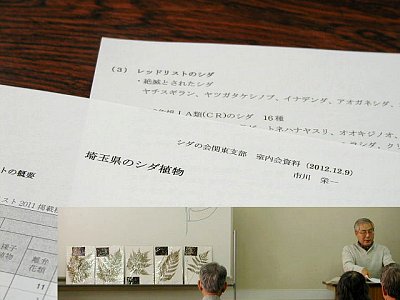 ichikawa20121209