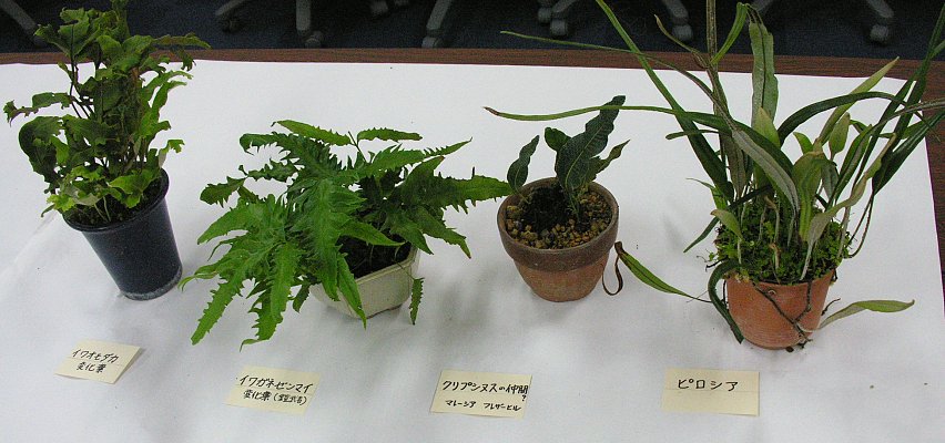 20120729mini-sida2