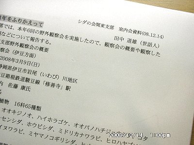 tanaka-1