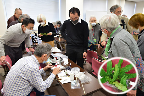 20201025_ohtsuki