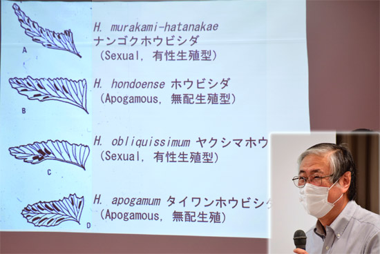20201122-murakami