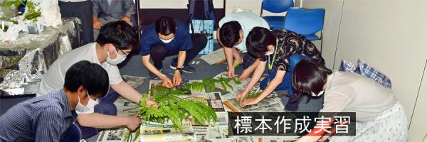 標本作製実習