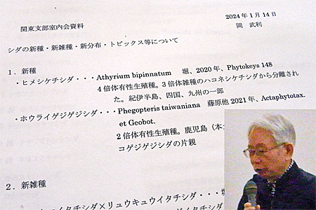 20240114岡氏新種紹介